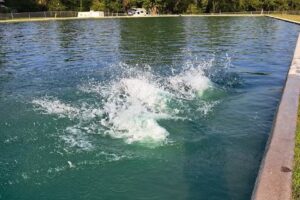 Money Creek Haven, Inc.