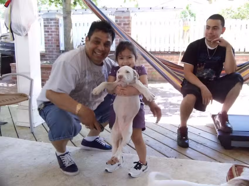 Monica Travel & Tours,inc