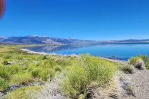 Mono Lake Committee Information Center & Bookstore