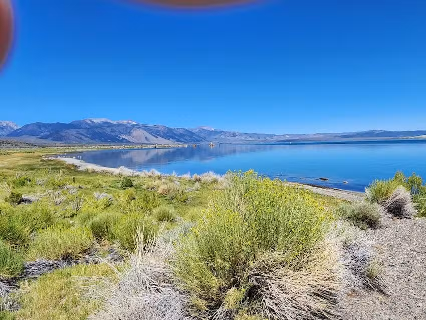 Mono Lake Committee Information Center & Bookstore