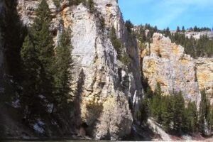 Montana Dream Fishing Outfitters LLC