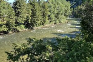 Montana Whitewater Rafting & Zipline – Gallatin