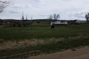 MONTE VISTA VACATION HOMES