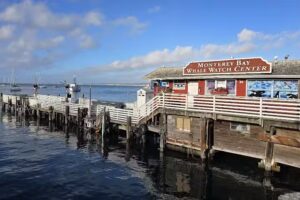 Monterey Bay Whale Watch
