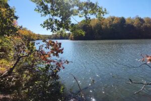 Montgomery Bell State Park