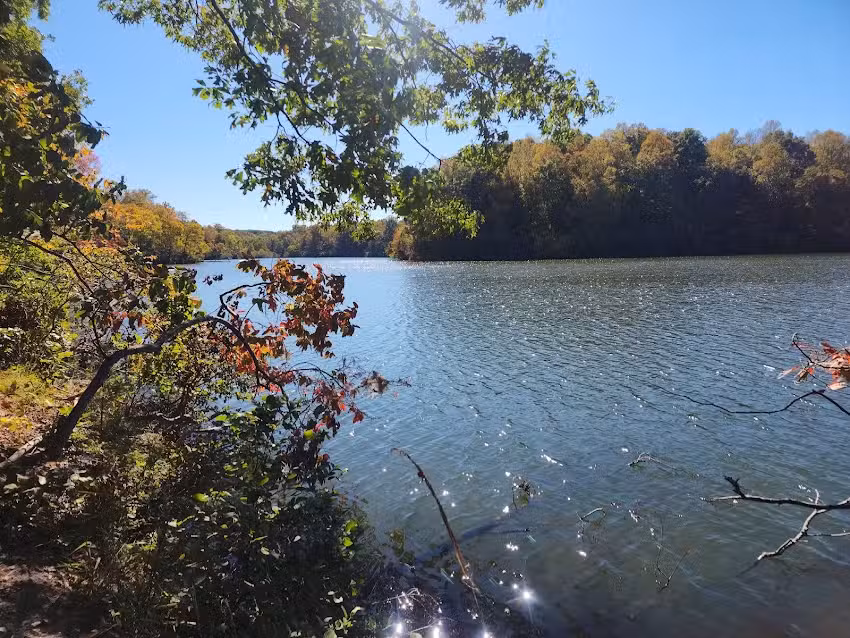 Montgomery Bell State Park