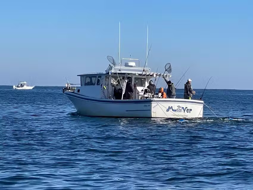 Moover Fishing Adventures