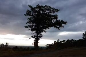 Mount Agamenticus Learning Lodge