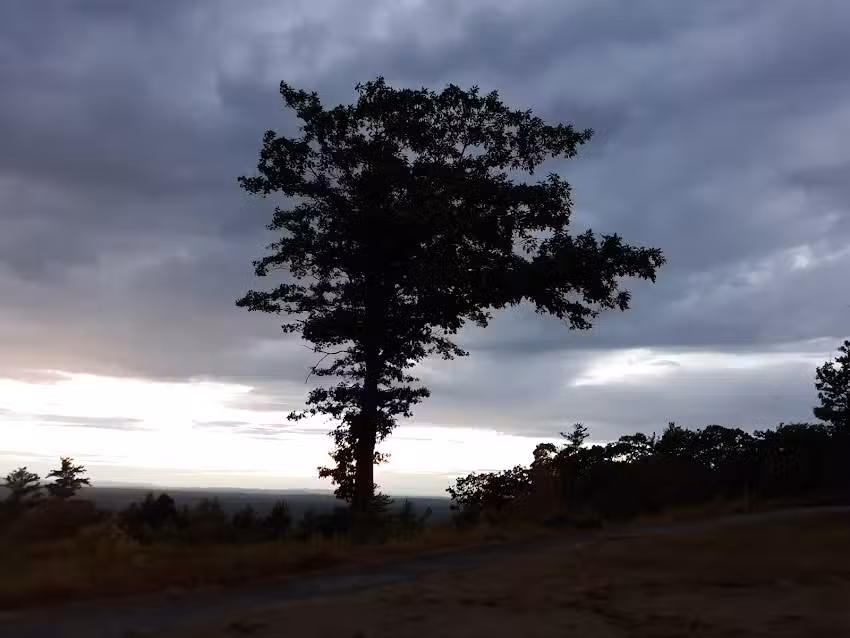 Mount Agamenticus Learning Lodge
