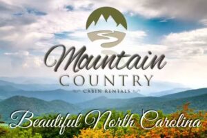 Mountain Country Cabin Rentals