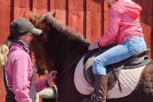 Mountain Creek Farm, LLC