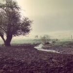 Mountain Creek Farm, LLC