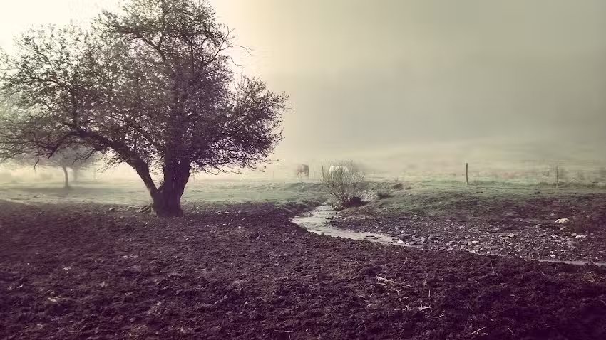 Mountain Creek Farm, LLC