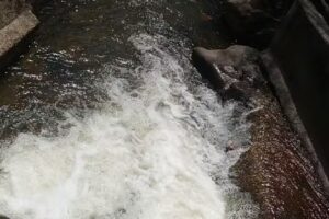 Mountain High Vacation Travel Agency