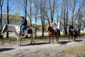 Mountain Trail Rides Horseback Riding & More