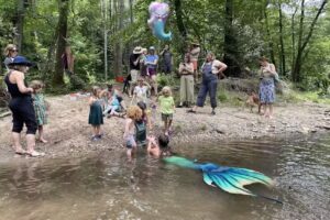 Mountains to Seas Adventures