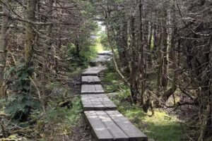 Mt Mansfield Peak Visitor Center