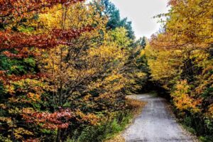 Munising Ranger District Office