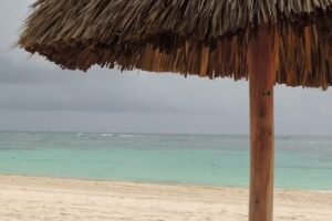 My Favorite Travel Agent