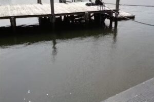 Mystic and Shoreline Visitor Information Center