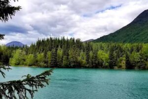 Mystic Waters Fly Fishing