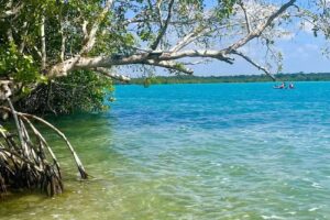 Nabours Travel Team/Dream Vacations