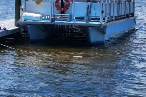 Nags Head Dolphin Watch