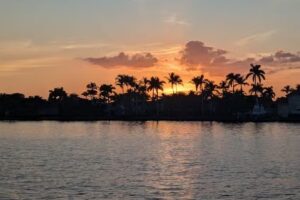 Naples Tiki Fun Tours