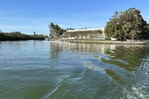 Naples Waterway & Wildlife Tours