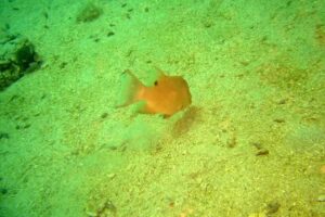 Narcosis Scuba Center