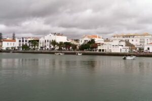 Native’s Earth Travel