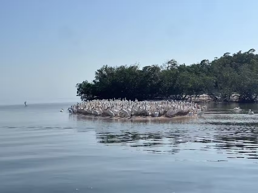 Native Tours & Fishing Charters