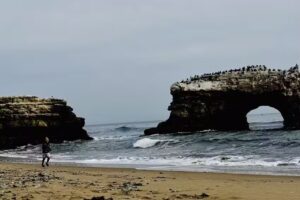 Natural Bridges Visitor Center