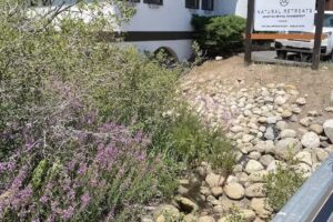 Natural Retreats – Lake Tahoe