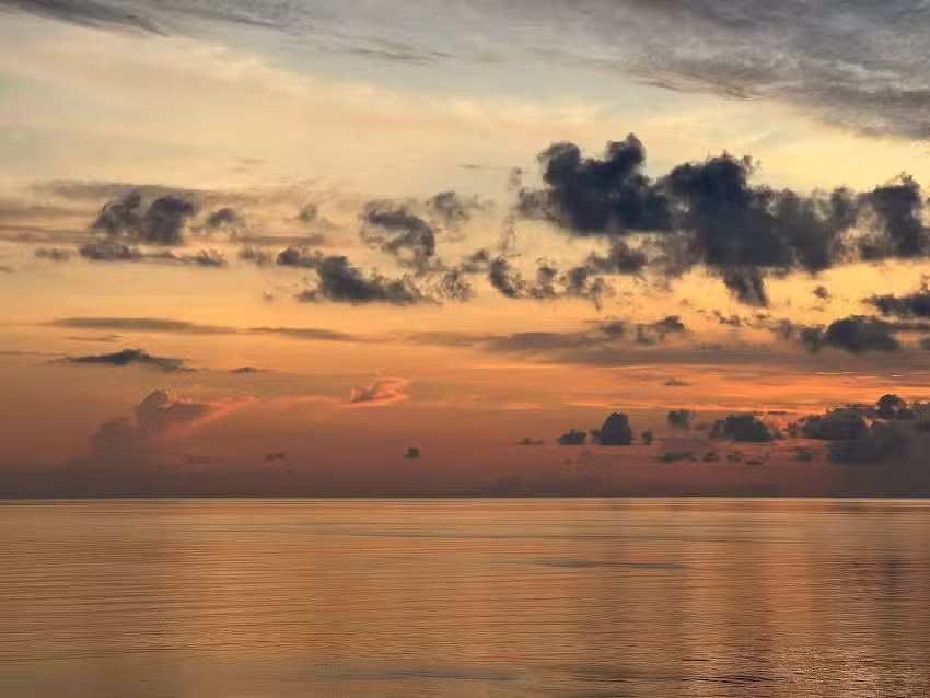 Navigation Girl, LLC