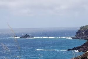 Near and Far Travel Services