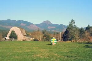 Nehalem Bay Horse Excursions