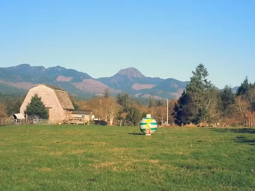 Nehalem Bay Horse Excursions