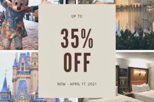 Never Landing Travel Agency by Deb Trzaska