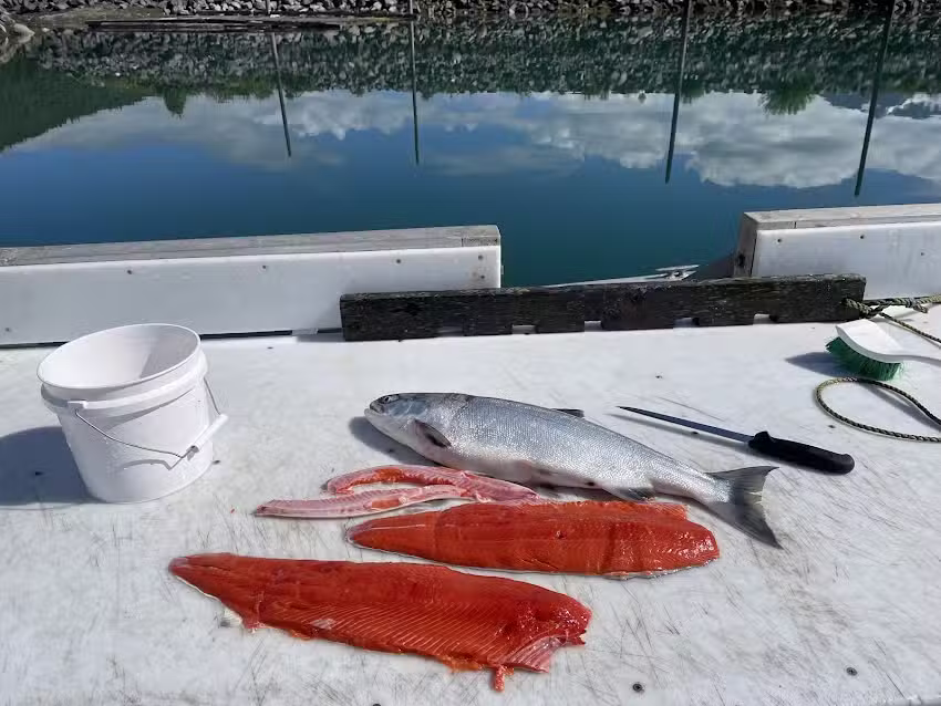 Never Monday Charters ( Ken Gross )