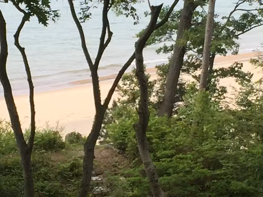 New Buffalo Vacation Rentals by Vacasa