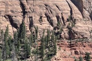 New Mexico River Adventures