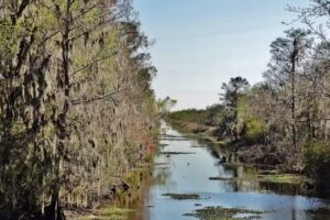 New Orleans Swamp Tours LLC