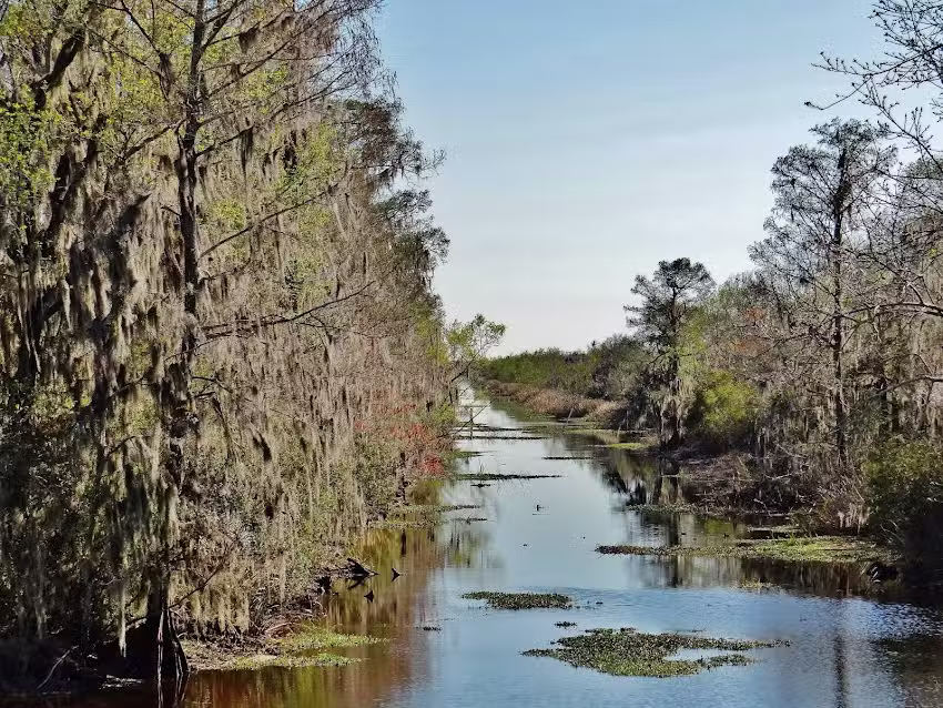 New Orleans Swamp Tours LLC