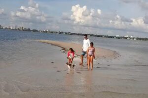 New Wave Boat Charter