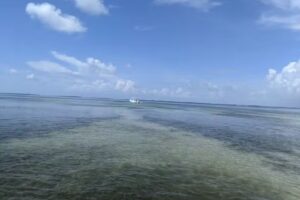 New Wave Eco Charters, LLC