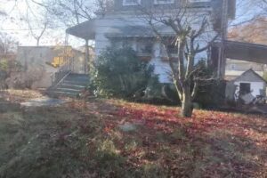 New York auf deutsch