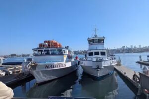 Newport Landing Whale Watching