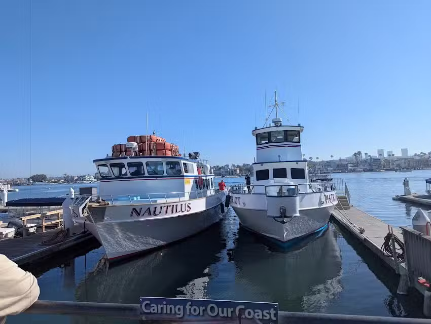 Newport Landing Whale Watching