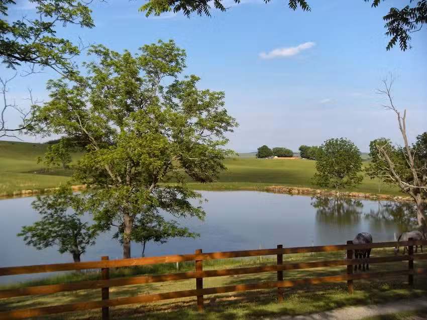 North Mountain Outfitter Inc